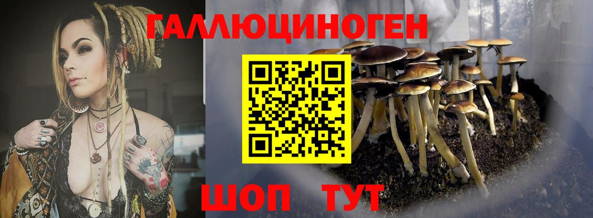 Псилоцибиновые грибы MAGIC MUSHROOMS  Вход с VPN  Бугуруслан 