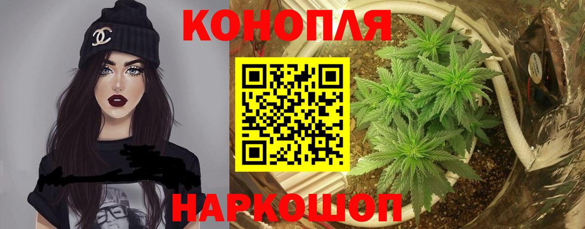 Бошки Шишки план Бугуруслан